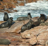 Yondah Beach House - New South Wales Tourism 