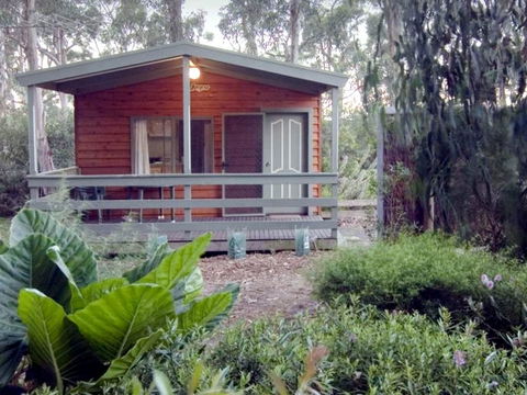 A Maze 'N Things Holiday Park - New South Wales Tourism  0