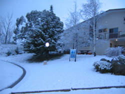 Aalberg Chalet - New South Wales Tourism  4