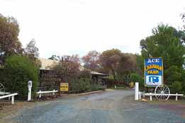 Ace Caravan Park - New South Wales Tourism  0