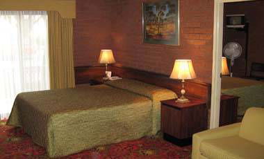 The Albury Regent Motel - New South Wales Tourism  0