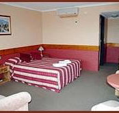 Winsor Park Motor Inn - New South Wales Tourism 