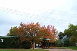 Allambie Motel Pty Ltd - New South Wales Tourism  0