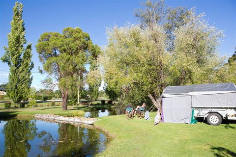 Armidale Tourist Park - New South Wales Tourism  8