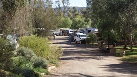 Quorn Caravan Park - New South Wales Tourism  3