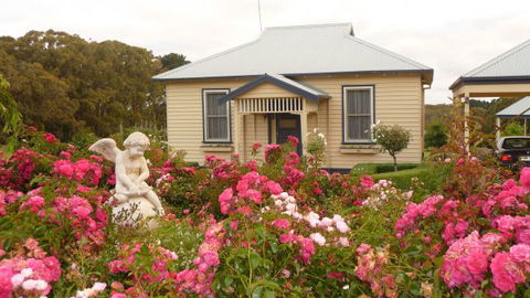 Amor Of Red Hill - New South Wales Tourism  0