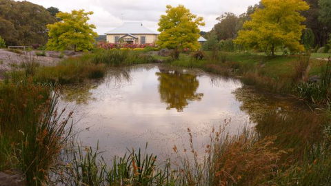 Amor Of Red Hill - New South Wales Tourism  4
