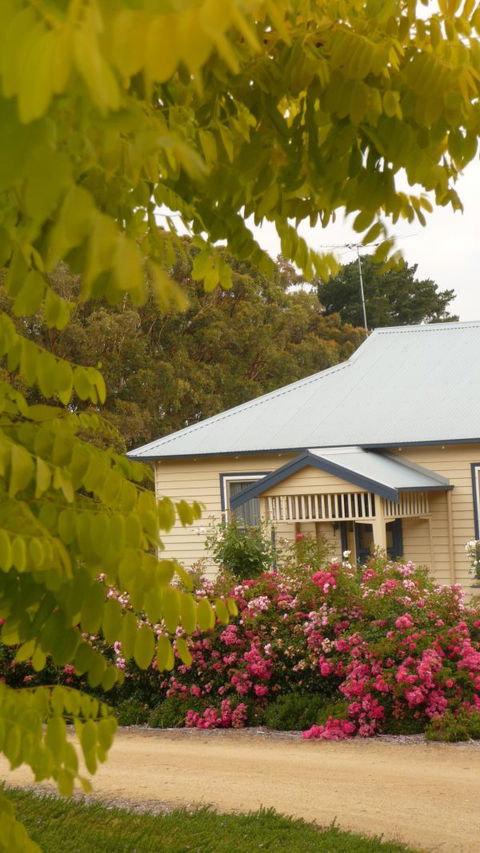 Amor Of Red Hill - New South Wales Tourism  5
