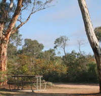 Drummonds Camp at Avon Valley National Park - New South Wales Tourism 