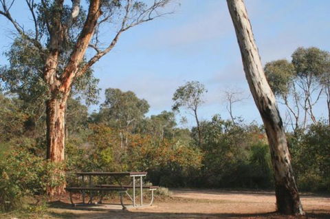 Drummonds Camp At Avon Valley National Park - New South Wales Tourism  0