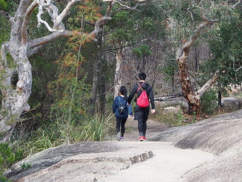 Girraween National Park Camping Ground - New South Wales Tourism  2