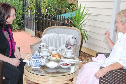 Must Love Dogs B&B And Self-Contained Cottage - New South Wales Tourism  2