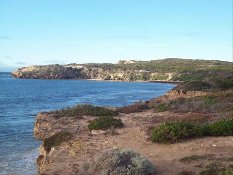 Top Deck Marion Bay - New South Wales Tourism  2