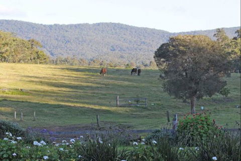 Wallaby Cottage - New South Wales Tourism  1