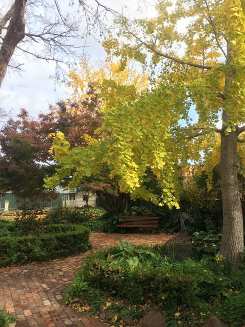 Cawarra On The Park - New South Wales Tourism  5