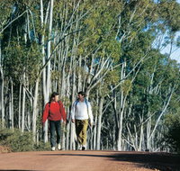 Congelin Camp at Dryandra Woodland - New South Wales Tourism 