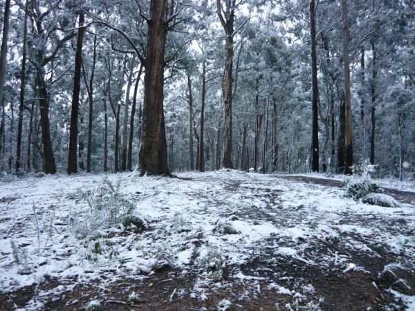 Fumina South VIC New South Wales Tourism