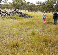 Carnarvon National Park camping - New South Wales Tourism 