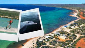 Mariner's Retreat - New South Wales Tourism  4