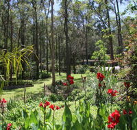 Werekataba - New South Wales Tourism 