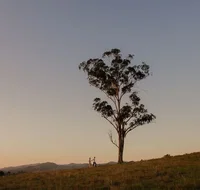 Faulls Ridge Winery - New South Wales Tourism 