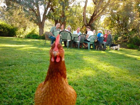 Baranduda Homestead B&B Cottages - New South Wales Tourism  9