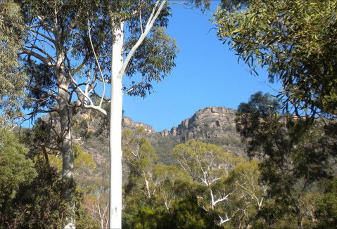 Gang Gang Villas - New South Wales Tourism  4