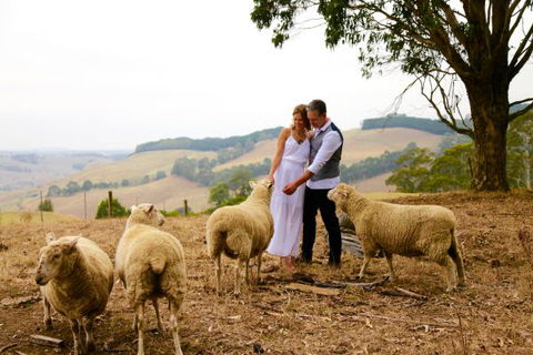 Halcyon Cottage Retreat - Self Contained Accommodation - New South Wales Tourism  2