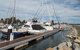 Batemans Bay Annual Yellowfin Competition - thumb 0