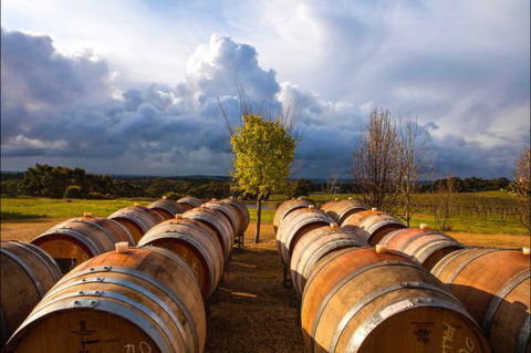 Barossa Chateau - New South Wales Tourism  4