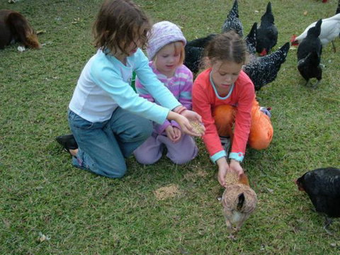 Bower Retreat - New South Wales Tourism  6