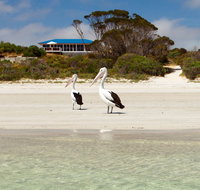 Kangaroo Island Star Beach House - New South Wales Tourism 