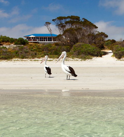 Kangaroo Island Star Beach House - New South Wales Tourism  0