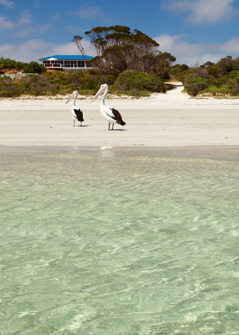 Kangaroo Island Star Beach House - New South Wales Tourism  4