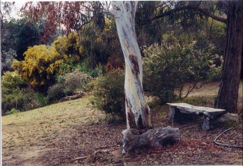 Kurringai Cottage - New South Wales Tourism  1