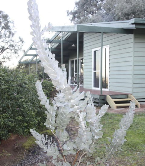 Kurringai Cottage - New South Wales Tourism  2