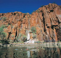Stargazers Camp at Millstream Chichester National Park - New South Wales Tourism 
