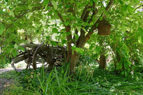 Willowbrook Heritage Bed & Breakfast - New South Wales Tourism  7