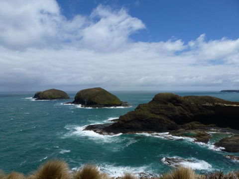 Arties Cottage Accommodation - New South Wales Tourism  9