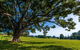 All About Me Bed And Breakfast - thumb 8