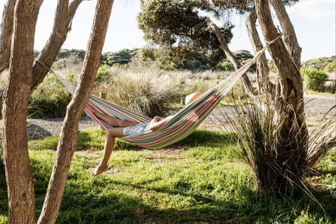 Anglesea Family Caravan Park - New South Wales Tourism  1