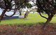Anglesea Family Caravan Park - thumb 3
