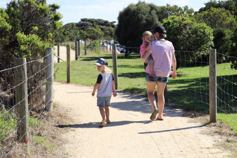 Anglesea Family Caravan Park - New South Wales Tourism  4