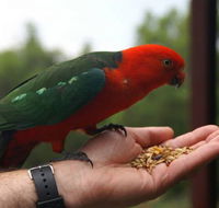 Barrington Tops Escapes - New South Wales Tourism 