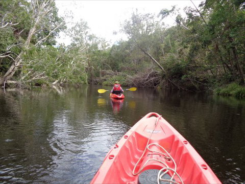 Byfield Cabins On Waterpark Creek - New South Wales Tourism  3