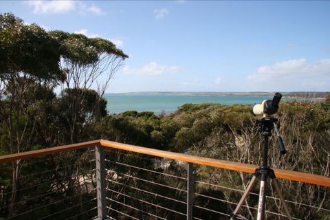 De Coudie Beach House - New South Wales Tourism  4