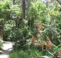 Dunns Creek Downs Nature Stay - New South Wales Tourism 