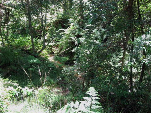 Dunns Creek Downs Nature Stay - New South Wales Tourism  2