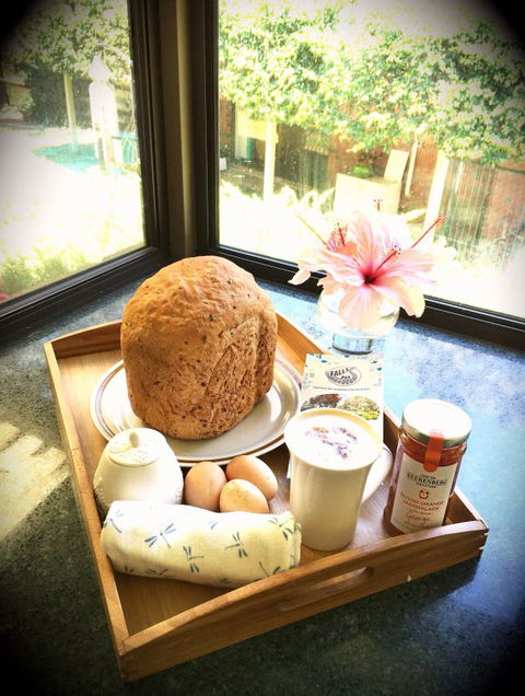 Falls Retreat Bed And Breakfast - New South Wales Tourism  0