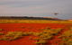 Gnaraloo Station - thumb 6